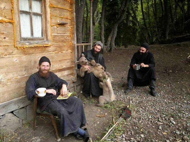 Прости ми брате... (Старечник)
