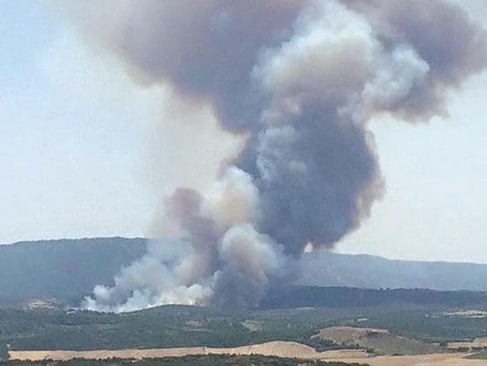 Голем пожар на границата на Света Гора