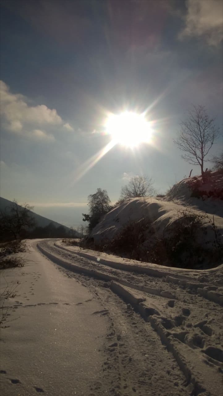 Сенка