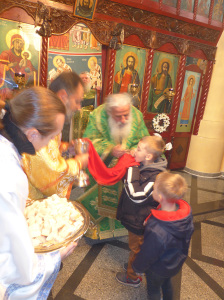 P1080919 22 Недела по Педесетница, Литургија во Довлеџик