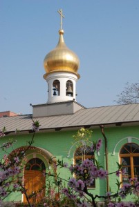 Кинеските новомаченици - фотографски материјали