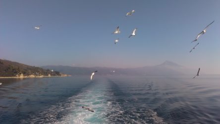 СВЕТА ГОРА - ПУСТИНА КОЈА РАЃА ЖИВОТ - патување во Градината на Пресвета Богородица