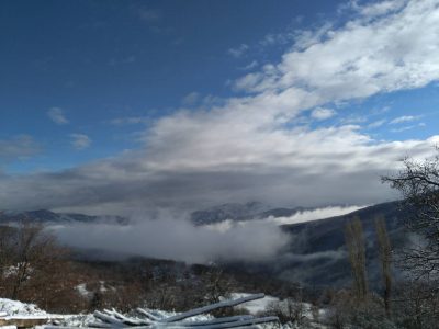 Сенка