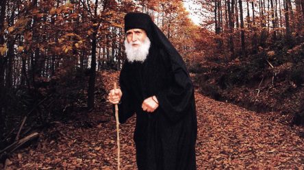 Сите деца, на кои им се угодува, стануваат бунтовници